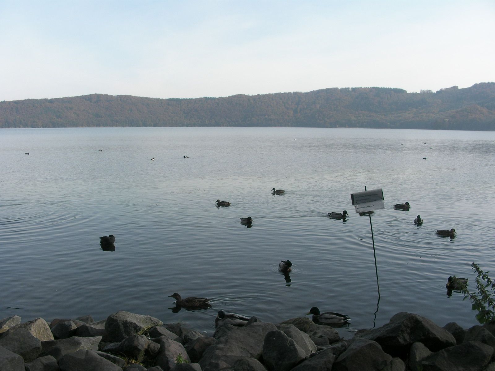 Maria Laach Surroundings